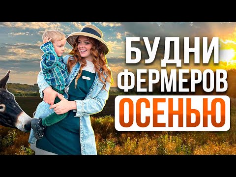 Видео: СЕЛЬСКИЕ БУДНИ ФЕРМЕРА В ДЕРЕВНЕ ОСЕНЬЮ