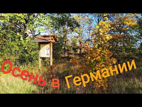 Видео: Осень в Германии 2019