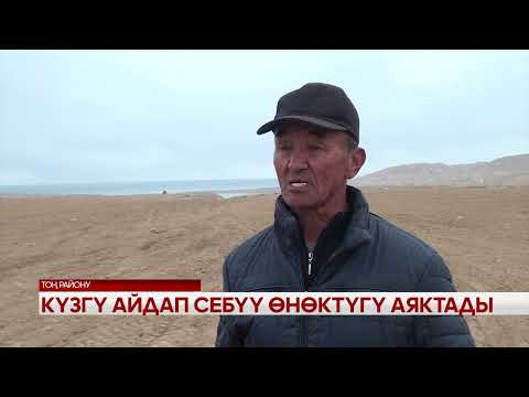 Видео: Күзгү айдап себүү өнөктүгү аяктады