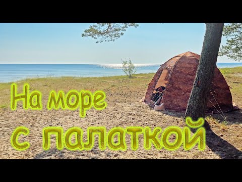 Видео: Три ночи в палатке на берегу моря с семьёй и собакой. Отдых на море.