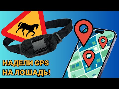 Видео: Обзор GPS-трекера Petsee КРС для лошадей и скота — настройка, функции, тестирование