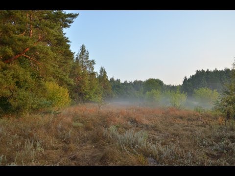 Видео: Село Песчанка. Выход 10.08.2019г .