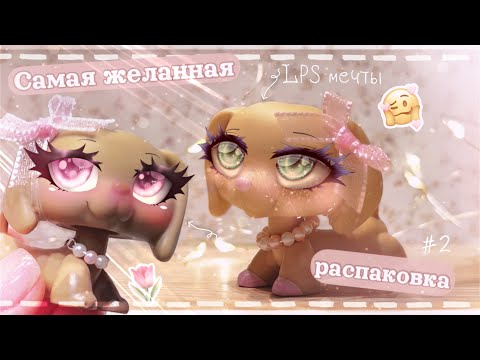 Видео: Распаковка двух LPS моей мечты и мебели || unboxing