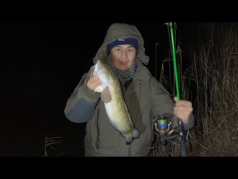 Видео: Закрыл сезон по ОТКРЫТОЙ ВОДЕ.. #врек #врекомендации #fish #нура #налим