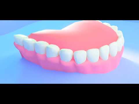 Видео: Тістің құрылысы мен қызметі 8-сынып #тіс#гигиена