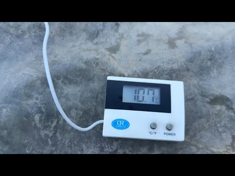 Видео: Илон балиқ қишда хам озуқланадими? 