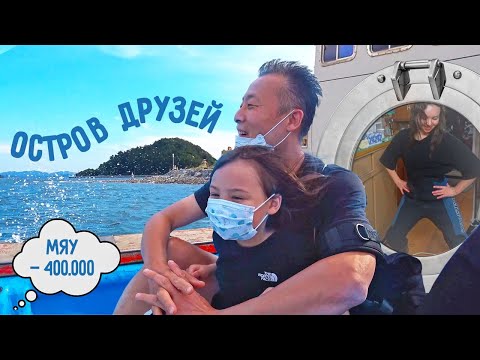 Видео: Личный остров наших друзей / Морская рыбалка в Корее / Котик потерялся на 400$ / KOREA VLOG /
