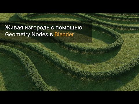 Видео: Живая изгородь c помощью Geometry Nodes в Blender