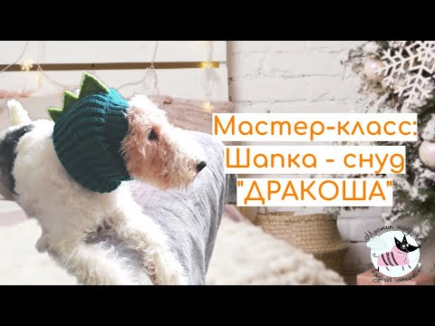 Видео: Шапка -Снуд  "ДРАКОША" для питомца спицами. Мастер-класс на любую породу.