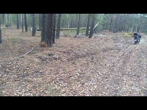 Видео: 23 октября 2021 закидоны Уральской погоды