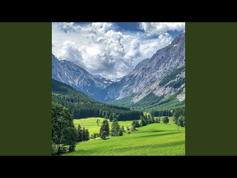 Видео: Саби болғым келеді (Live)