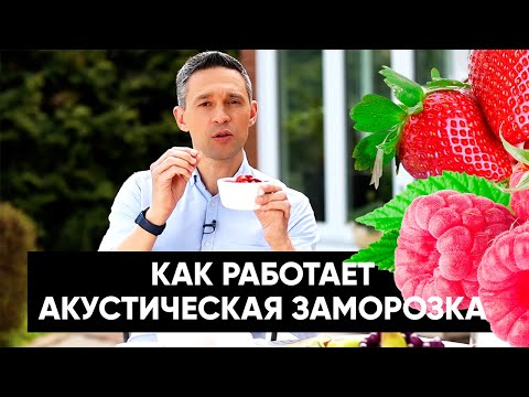 Видео: Как работает АКУСТИЧЕСКАЯ заморозка?