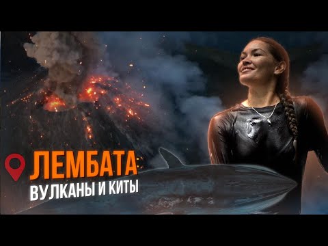 Видео: Остров Лембата: извержение вулкана и встреча с синим китом | Дикое путешествие по Индонезии. Часть 2
