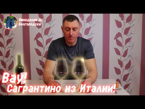 Видео: Сагрантино! Пробую в первый раз.