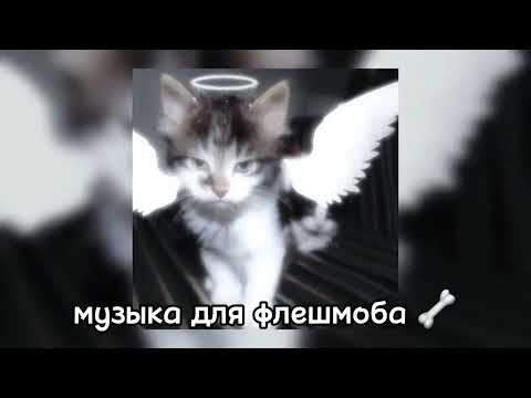 Видео: Музыка для флешмоба/песни из тик тока