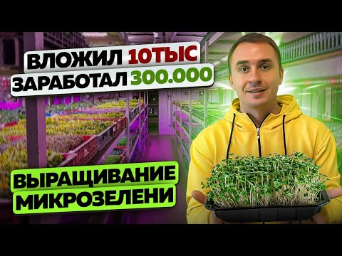 Видео: Выращивание микрозелень. Как открыть ферму микрозелени. Микрозелень