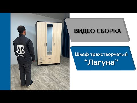 Видео: Распашной шкаф Лагуна / Лагуна с зеркалом