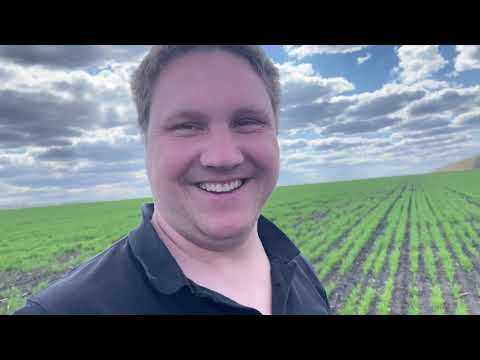 Видео: Озимая Пшеница - Волгоград - Уфа