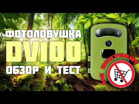 Видео: Фотоловушка DV100. Обзор и тест.