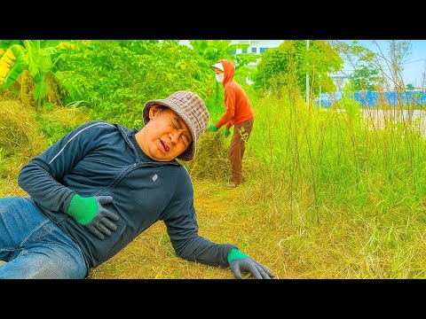 Видео: Мы рисковали жизнью, убирая тротуар 4 дня — и получили всего 52 доллара 😰💪