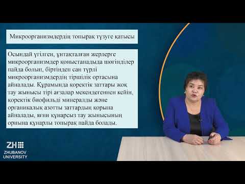Видео: ИзимоваР Микробиология және вирусология негіздері8 №15дәріс Микроорганизмдердің геологиялық қызметі