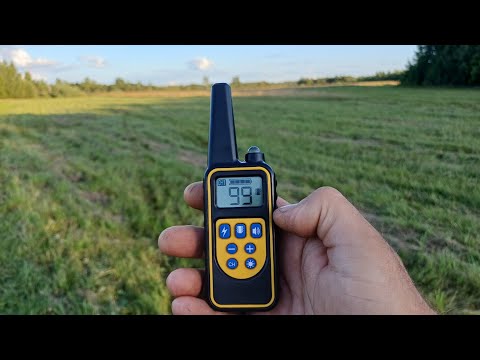 Видео: Электронный ошейник для собаки. Стоит ли брать 🐕