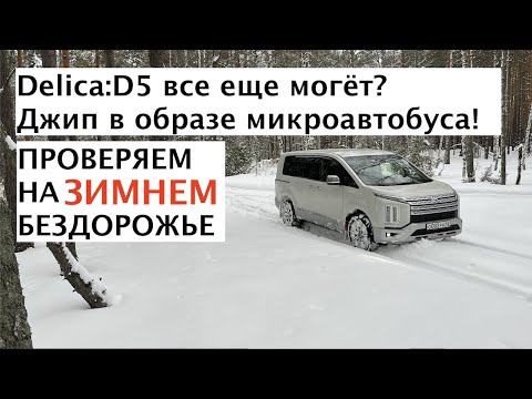 Видео: Mitsubishi Delica 4x4 на бездорожье