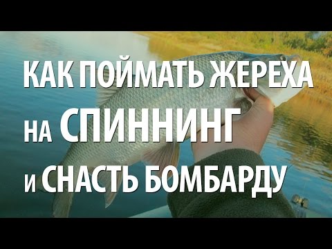 Видео: ЛОВЛЯ ЖЕРЕХА на СПИННИНГ. РЫБАЛКА с ЛОДКИ на НИЖНЕЙ ВОЛГЕ на РЫБУ ЖЕРЕХ