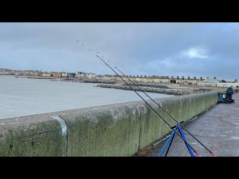 Видео: Пирс Лоустофт, сегодня много улова