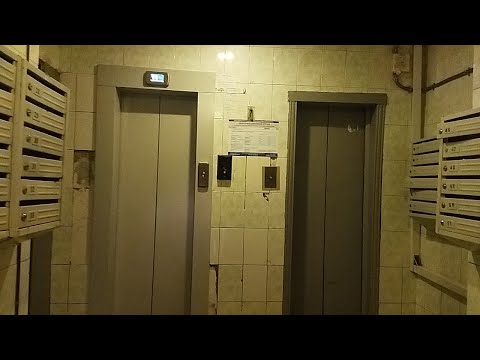 Видео: Литфы ЩЛЗ 2025г.в и Кмз 2001г.в V=1.0m/c; V=0,61 m/c Q=320-400kg.