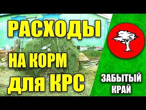 Видео: Расходы на корм для КРС