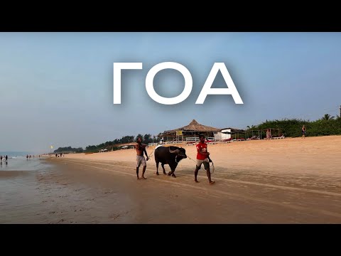 Видео: Первый раз на ГОА, Индия, отель Вилла Агуста/ First time in GOA, India, hotel VILLA AGUSTA, 2024