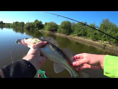 Видео: 8# Рыбалка в день рыбака. р. Пышма радует как никогда, поклёвка за поклёвкой. Щука, судак.