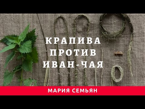 Видео: Крапива против иван-чая.