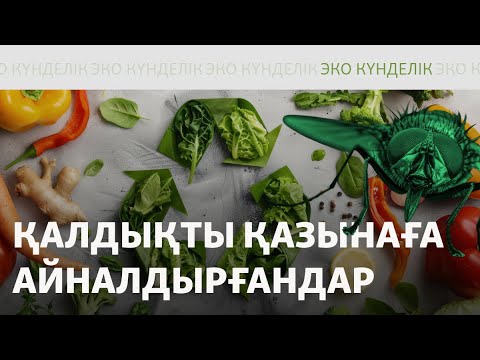 Видео: Шыбын цехы, пластиктің "екінші өмірі"
