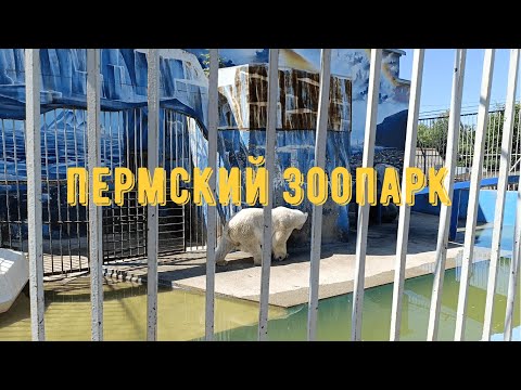 Видео: ПЕРМСКИЙ ЗООПАРК