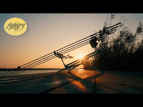 Видео: Ловля карпа поздней осенью. Прикормка для холодной воды. Где и на что ловить карпа в ноябре.