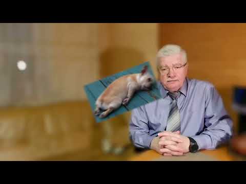 Видео: Похмелье - не приговор. Реаниматолог Барсуков Александр Михайлович.