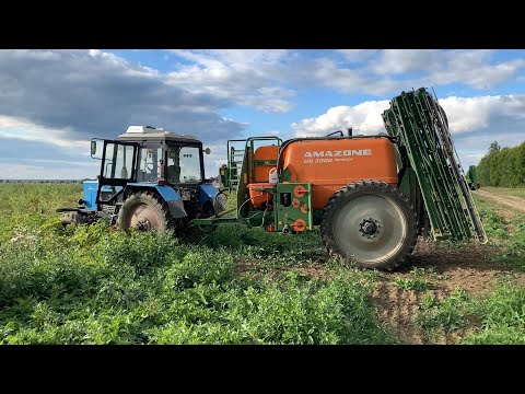 Видео: Десикация ботвы картофеля / Опрыскиватель AMAZONE UG 3000 SPECIAL / Работа с AMATRON 3 и AMAPILOT
