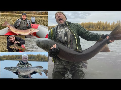 Видео: Рыбалка тайменя/щуки/ленка в Якутии/река Таежная/вторая часть-заключительная