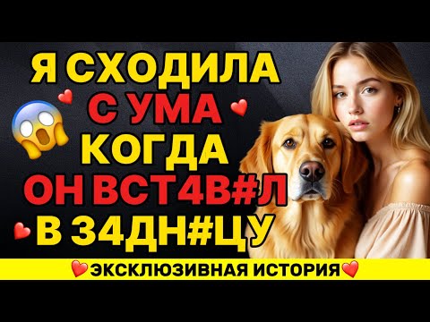Видео: МОЯ СОБАКА ВДРУГ СДЕЛАЛА ЭТОСО МНОЙ ПОСРЕДИ НОЧИ