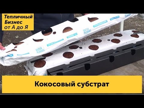 Видео: Новинка! Впервые используем «Кокосовый субстрат»