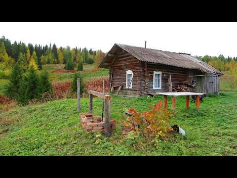 Видео: Путешествие на Ямозеро Ч33. Лесная изба - таёжное зимовье. Сплав. Заброшенная деревня. Один в тайге