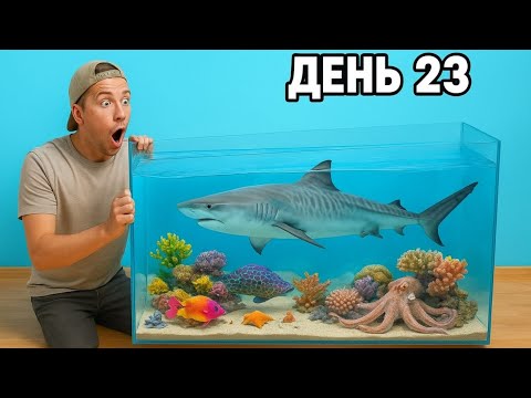 Видео: 30 дней на создание пруда моей мечты с соленой водой и рифом