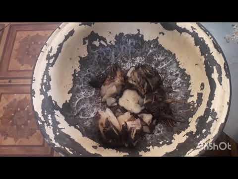 Видео: Хранение кормовой свеклы в 2022-2023