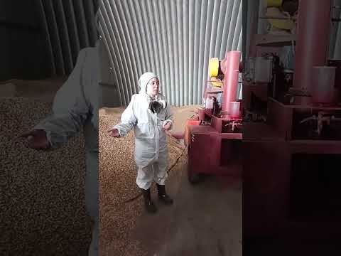 Видео: Инструкция по применению протравителя семян ПС-10. 3.04.2024г.