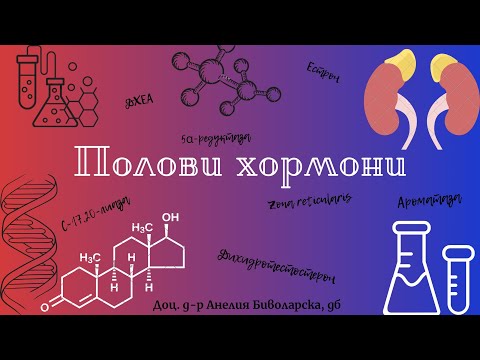 Видео: Полови хормони/Gonadocorticoids