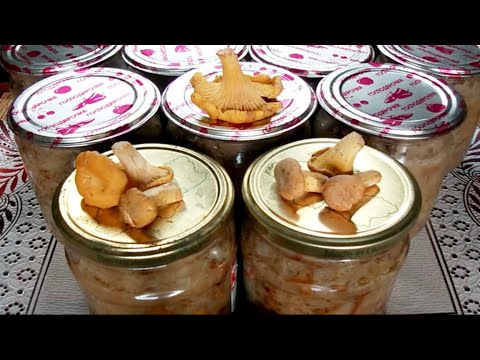 Видео: Солянка с лисичками. И с картошечкой зимой, и как приятный презент.