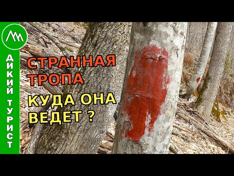 Видео: Этой ТРОПЫ нет на картах! Куда она ведет? Что за красные пятна на деревьях?