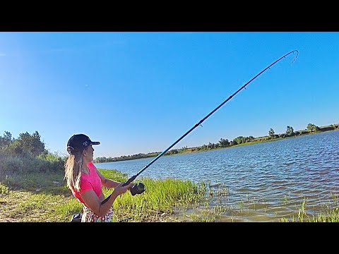 Видео: ДИКИЙ пруд РАЗДАЕТ!!! Не успел УДОЧКИ расставить, а он УЖЕ ТАЩИТ! Ловля толстолобов.
